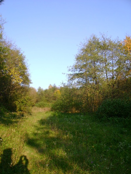 лози 26.10.2008/DSC03969