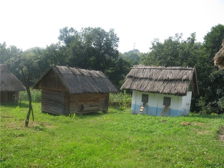 Двір заможного селянина з с.Рідківці Новоселицького району