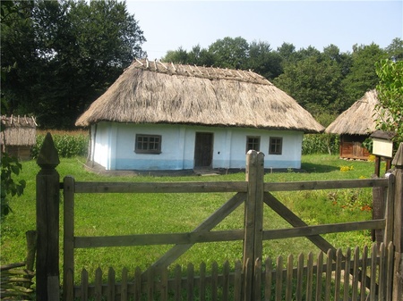 Двір селянина-середняка с.Лашківка Кіцманського району 