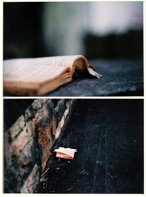 Abandoned_Literature_by_ath89