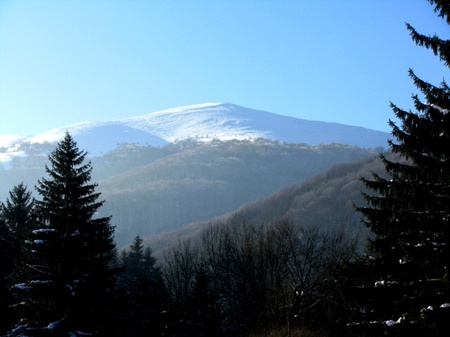 зимові краєвиди