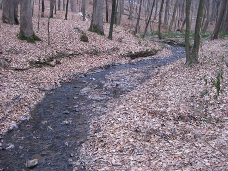 Жива вода