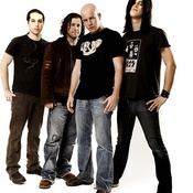 Infected Mushroom