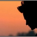 30 Seconds to Mars - project