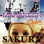 Marakesh & Sakura