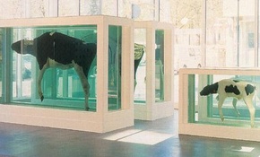 Damien Hirst