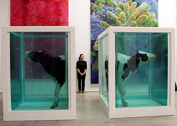 Damien Hirst