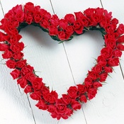 Saint_Valentines_Day_Beautiful_red_roses_St._Valentine_s_Day_013094_