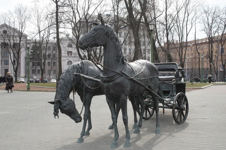 Коні, в центрі міста)))