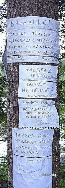 кпз: камєнти