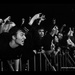 _MG_2739 copy