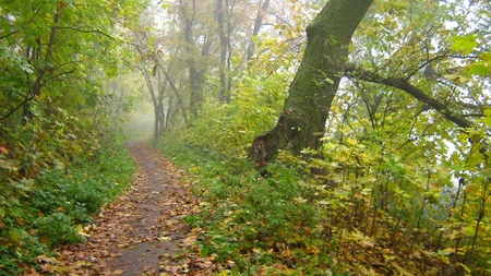 Парк Шевченка