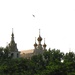 -IMG_5317