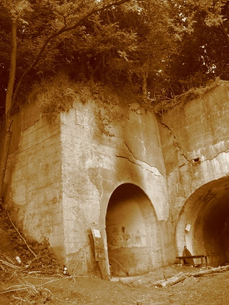 Fort.Missia