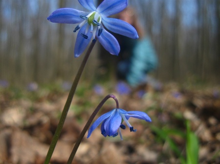 Харків