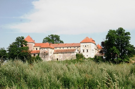 Свірзький замок