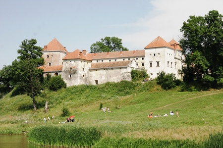 Свірзький замок