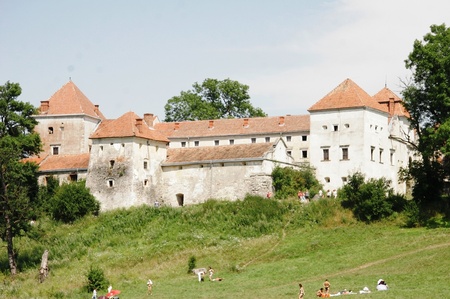 Свірзький замок