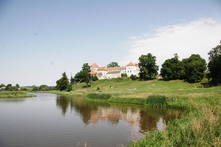 Свірзький замок