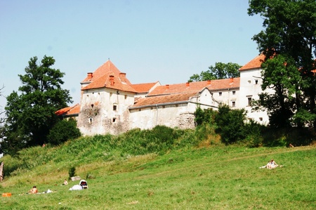 Свірзький замок