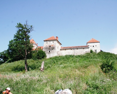 Свірзький замок