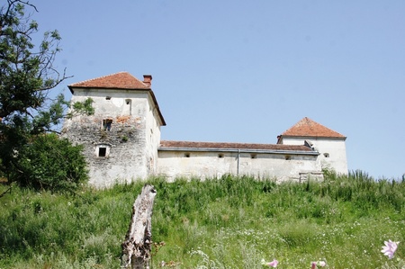 Свірзький замок