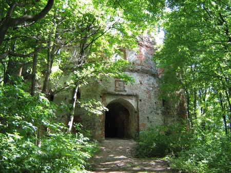 Замок Гербуртів. Вхідна брама. Травень 2008