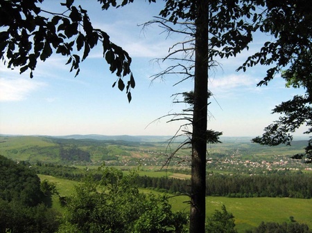 Добромиль з висоти Замкової гори. Липень 2008