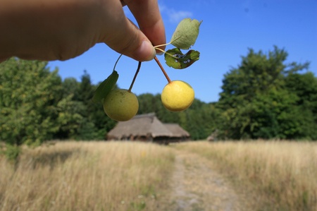 Осінь в Пирогово