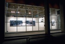 TARAS POLATAIKO: Remediation