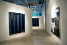 TARAS POLATAIKO: Remediation