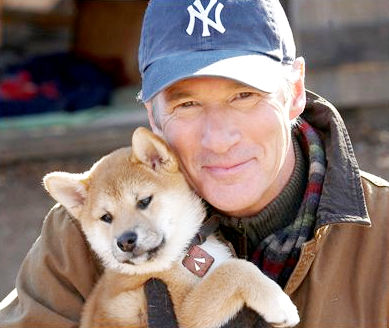 Hachiko: A Dog's Story