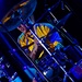 Gogol Bordello