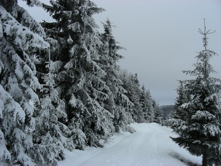 Зимова прогулянка Бескидами