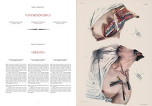 Bourgery &ndash; Atlas of Anatomy