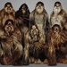 wookie