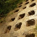 Fort.Missia - 2010. LandArt