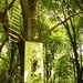 Fort.Missia - 2010. LandArt