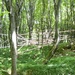 Fort.Missia - 2010. LandArt