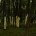Fort.Missia - 2010. LandArt
