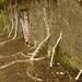 Fort.Missia - 2010. LandArt