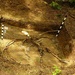Fort.Missia - 2010. LandArt