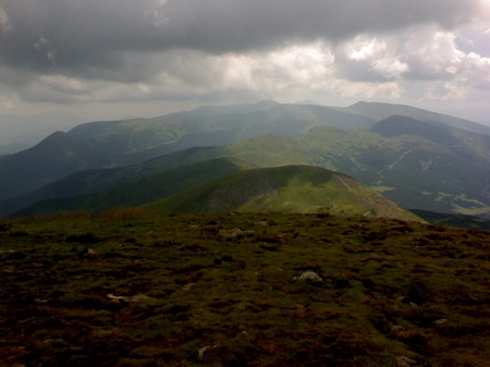 трава, каміння