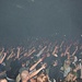 Limp Bizkit виступили в Києві