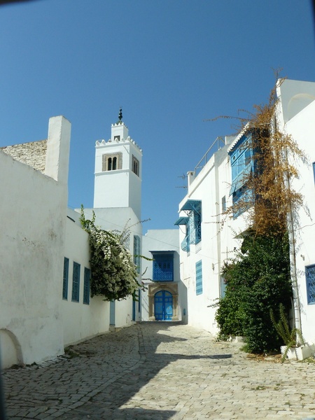 Туніс (м.Сіді-Бу-Саїд)