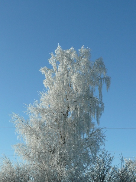 Зимове...