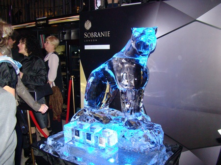 Льодова скульптура танула від гарячої вечірки