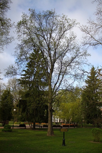 Гомель. Палац Румянцевих-Паскевичів