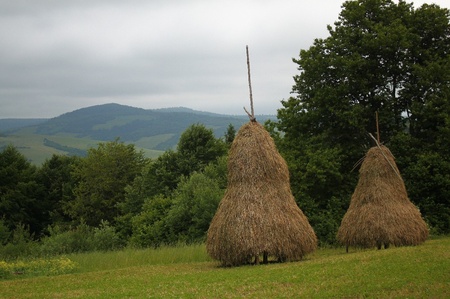 Пікуй