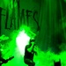 IN FLAMES 